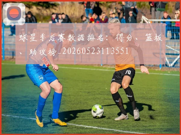 球星季后赛数据排名：得分、篮板、助攻榜_20260523113551