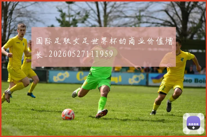 国际足联女足世界杯的商业价值增长_20260527111959